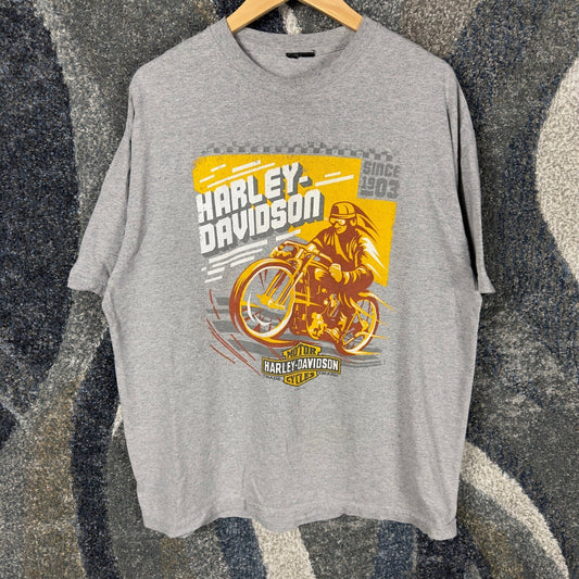 Harley Davidson Scottsdale Arizona T-Shirt Mens XL Gray