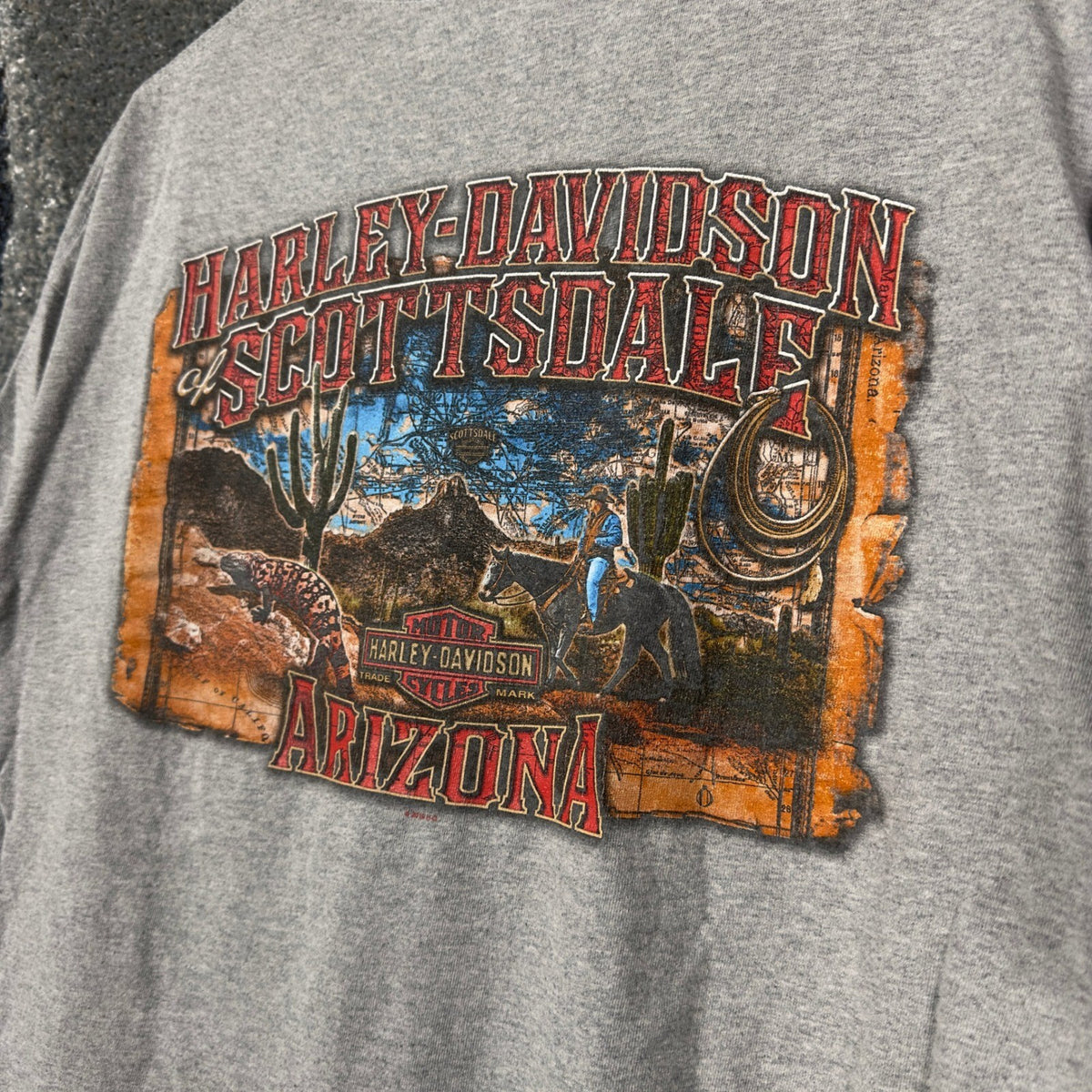 Harley Davidson Scottsdale Arizona T-Shirt Mens XL Gray