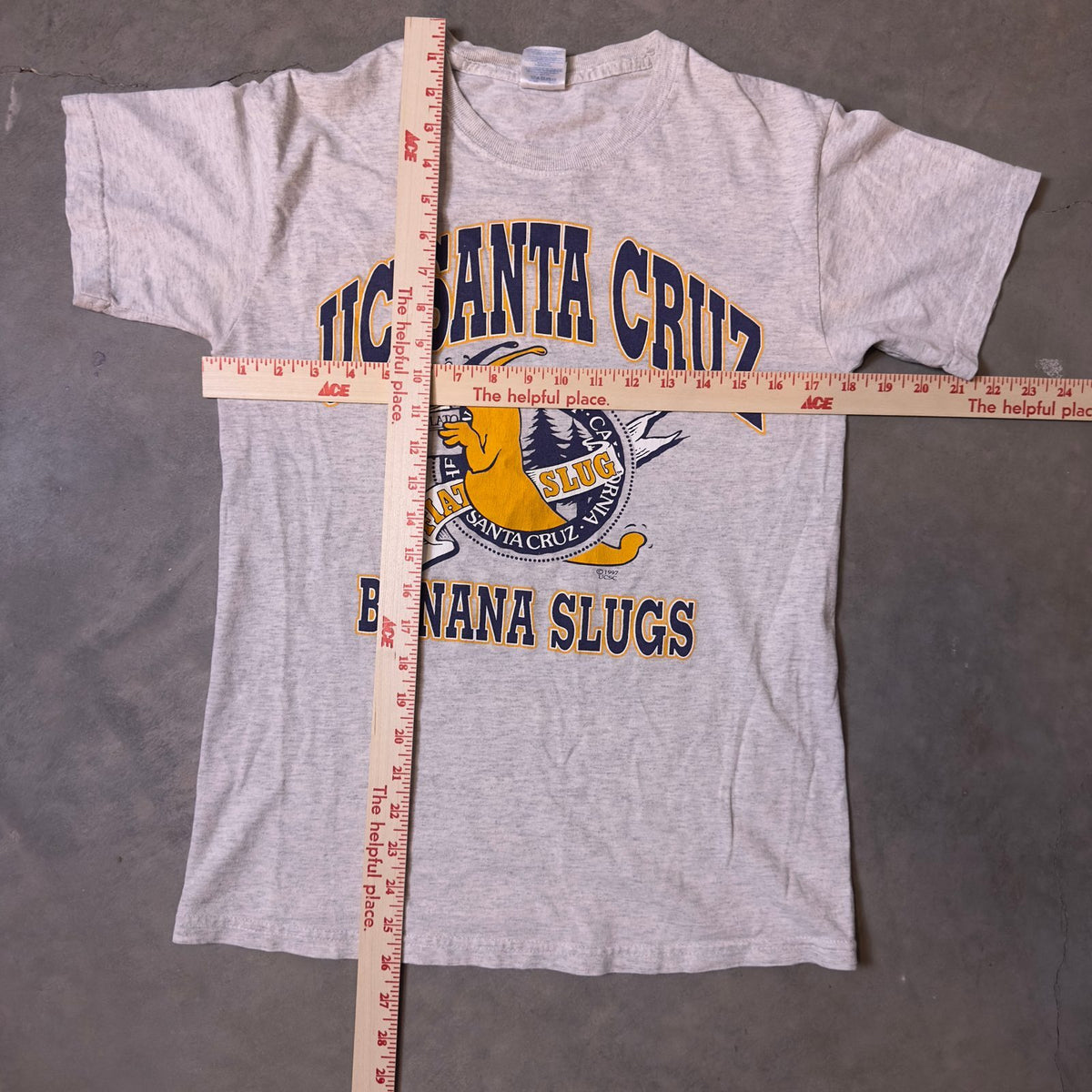 Vintage UC Santa Cruz Banana Slugs Tee Mens S Gray