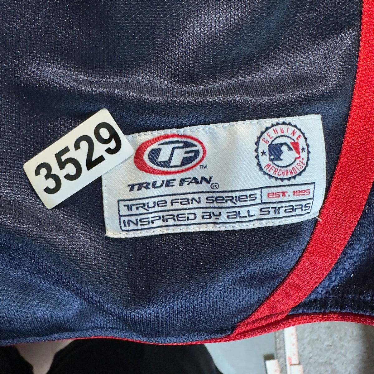 Vintage Y2K True Fan Minnesota Twins Jersey Mens L Navy MLB