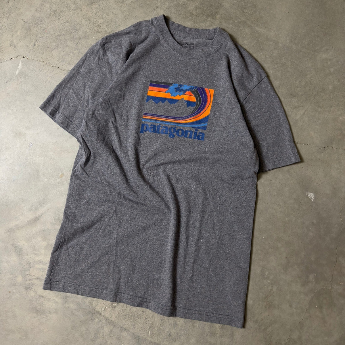 Patagonia Graphic T-Shirt Mens Small Grey Mountain Wave Logo