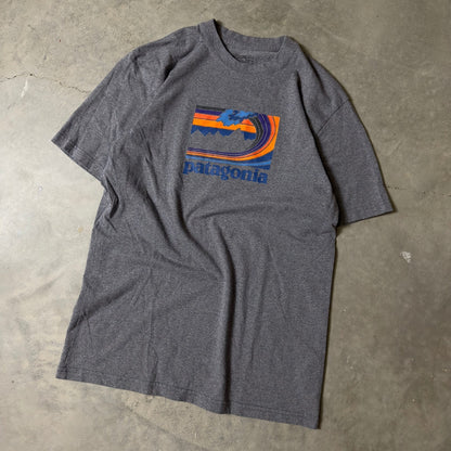 Patagonia Graphic T-Shirt Mens Small Grey Mountain Wave Logo